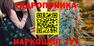 стафф Кулебаки