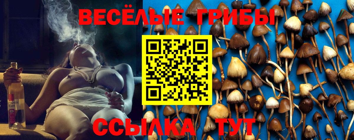 Галлюциногенные грибы GOLDEN TEACHER Ижевск