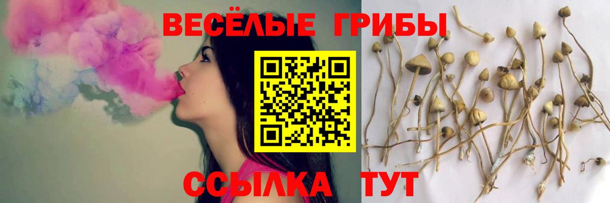 Ижевск  Псилоцибиновые грибы Magic Shrooms  Вход с VPN 